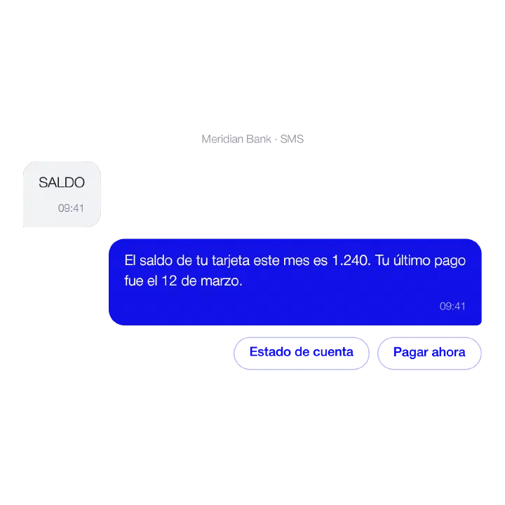 Conversación con un chatbot: consulta de saldo