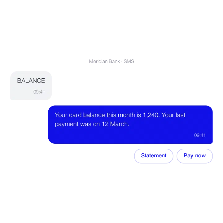 Chatbot conversation: balance check