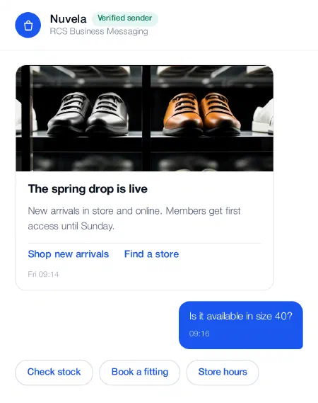 RCS conversation example